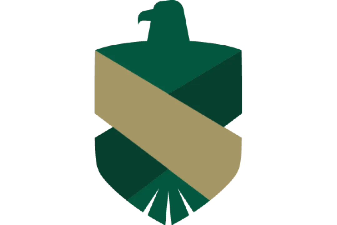 MVS logo
